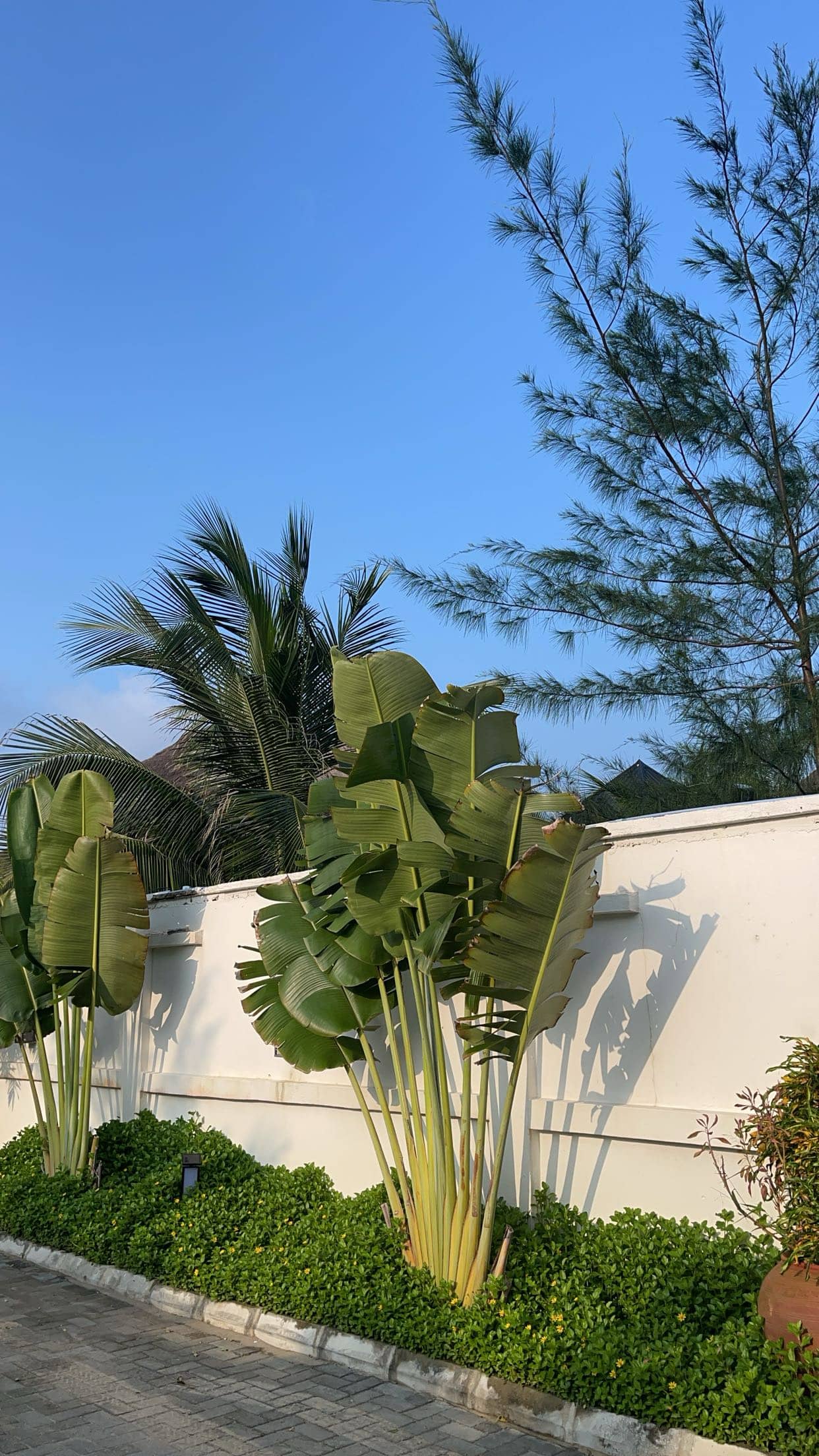 Editorial Photography